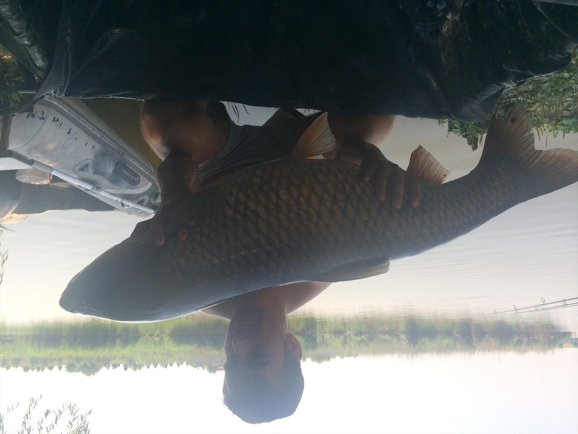 PILHAN  - ten-20-kgg.JPG